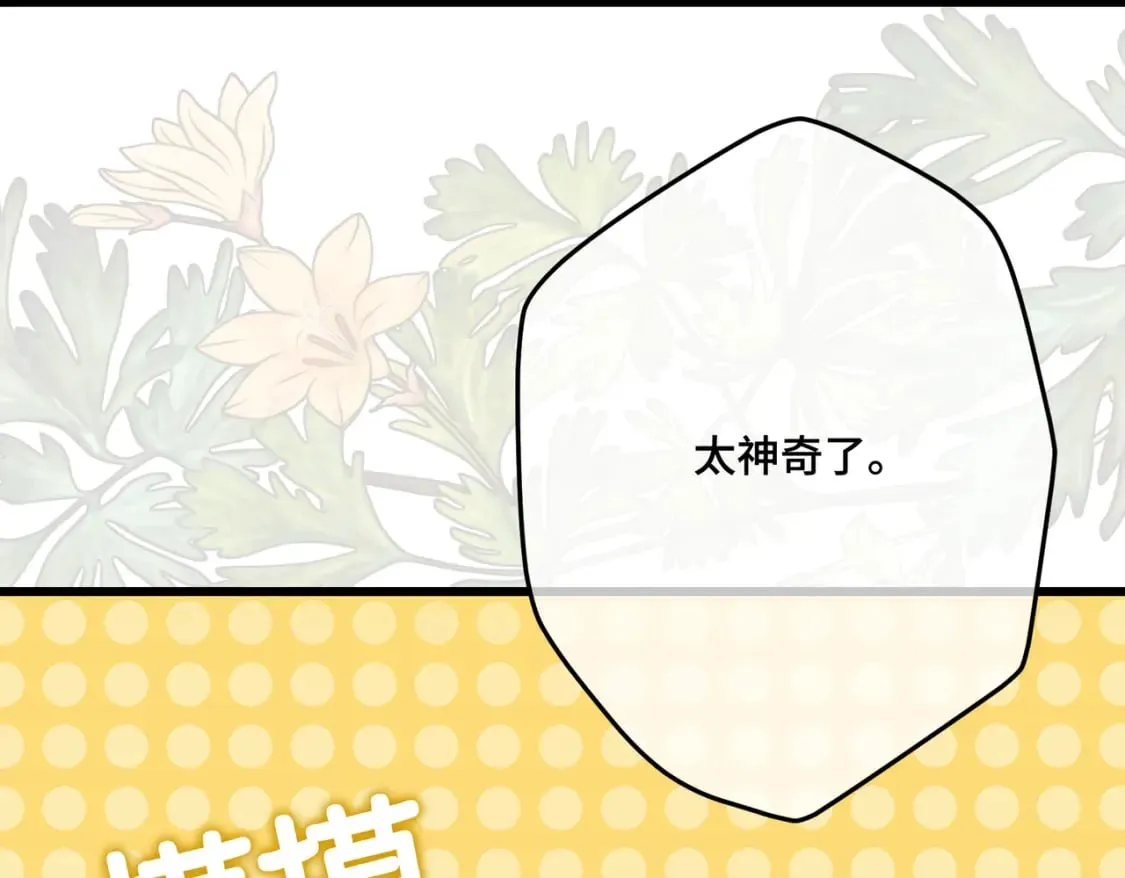 第31话 贵妇洋房19
