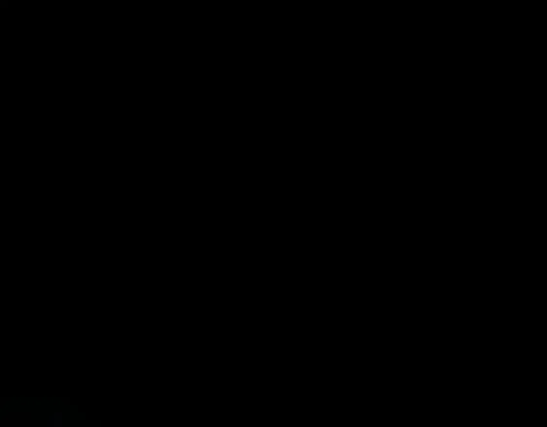 第29话 假花堆叠的乐夜82