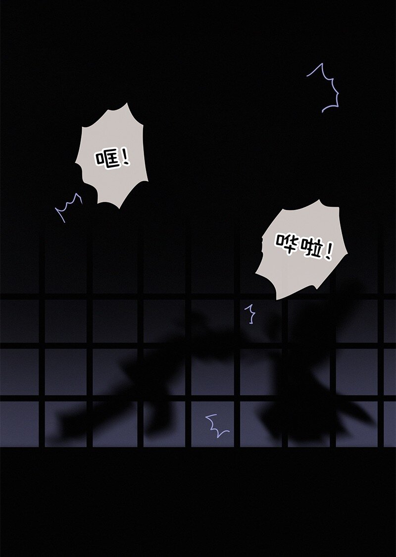 005 陛下您是眼瞎否13