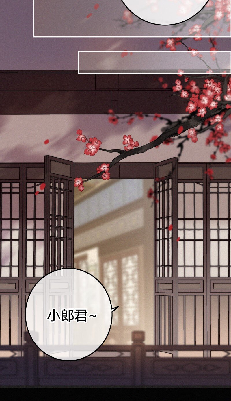 041 公子他是我的人19