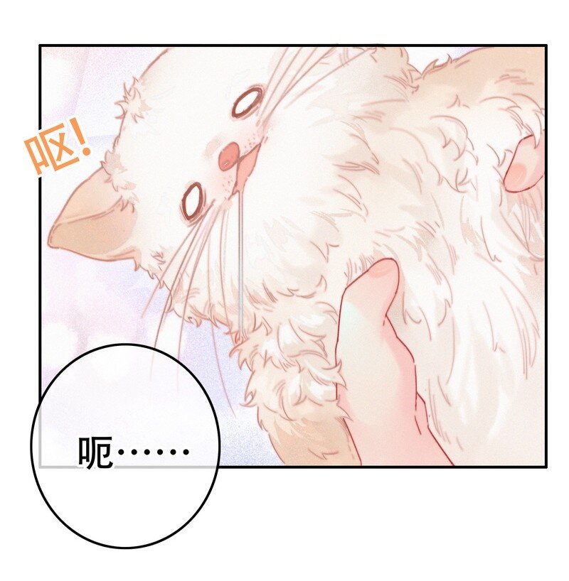 060 你喂吐我的猫了5