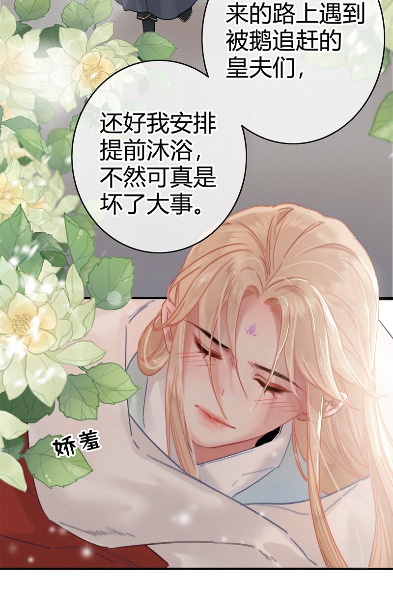 012 陛下这里不可以9