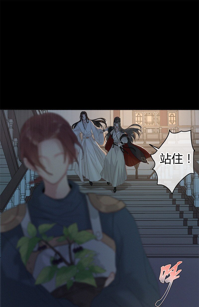 005 陛下您是眼瞎否18