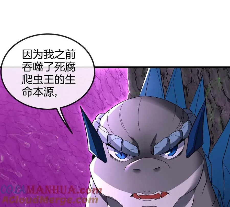 第118话 探索秘境39
