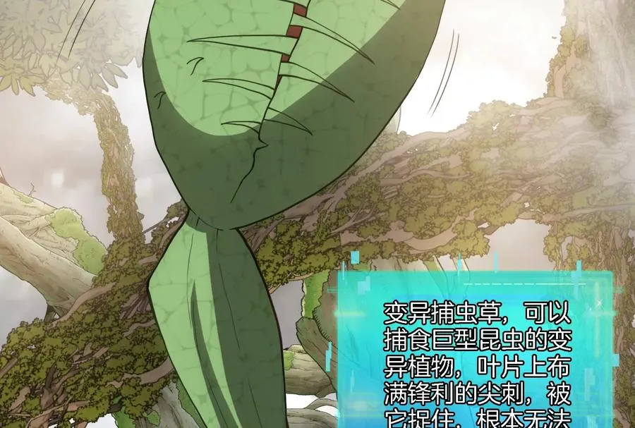 第49话 尊柏树6