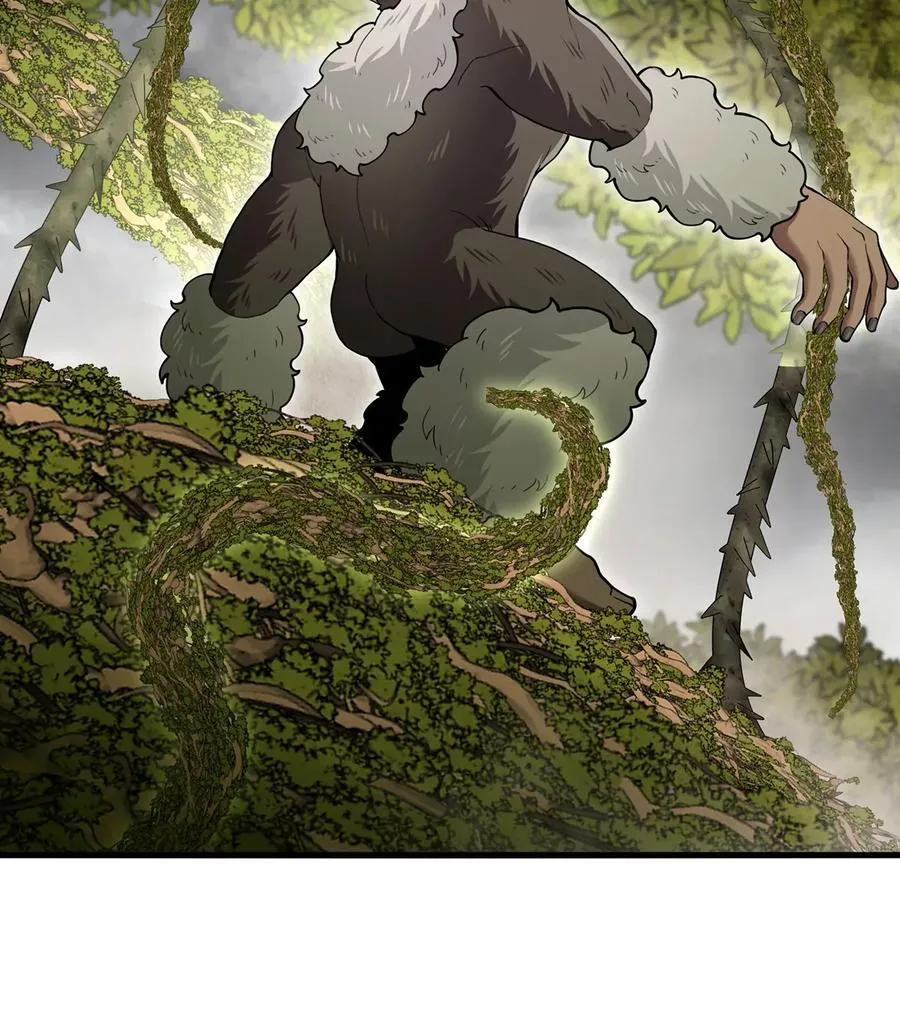 第50话 会组合拳的尊柏树10