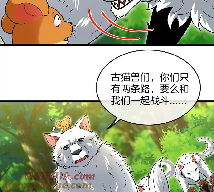 第74话 不屈的小橘子27