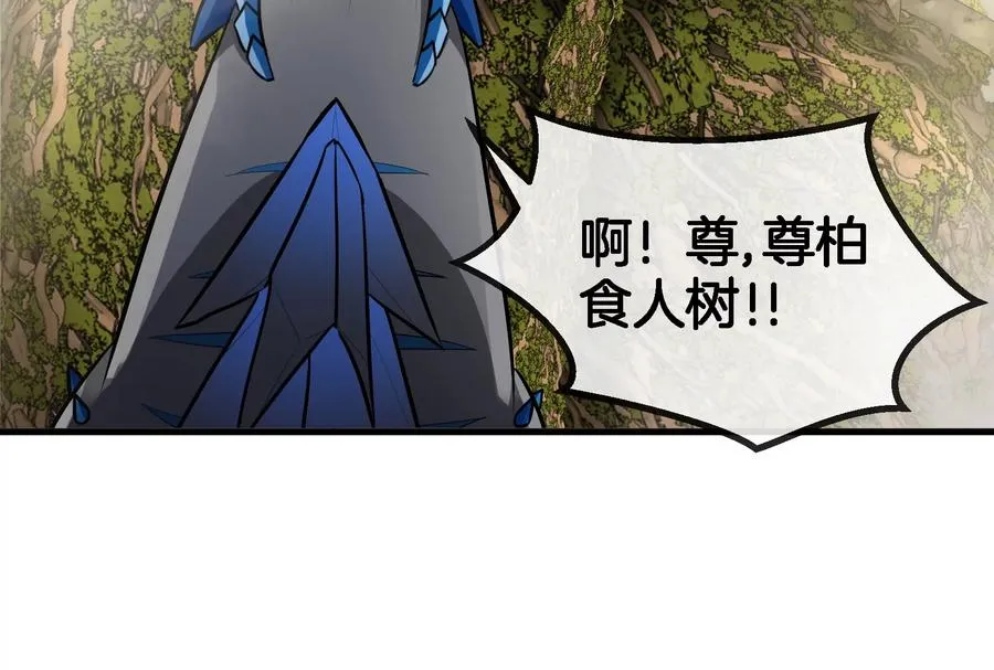 第49话 尊柏树101