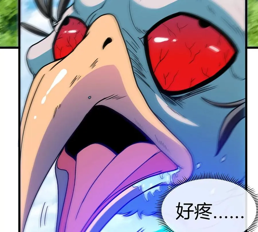 第35话 鸟妹出现17