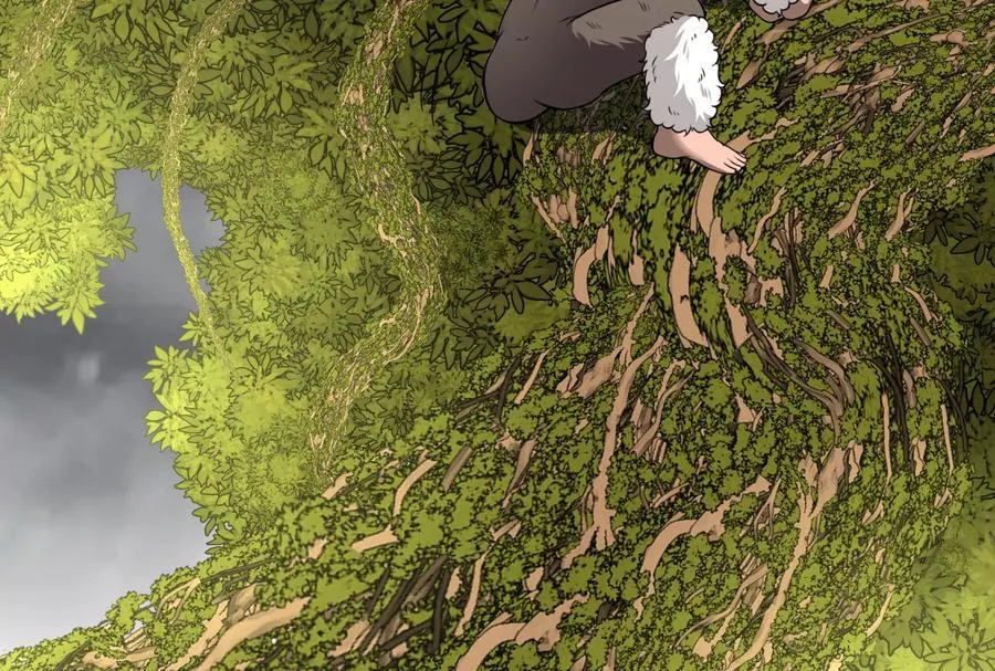 第49话 尊柏树87