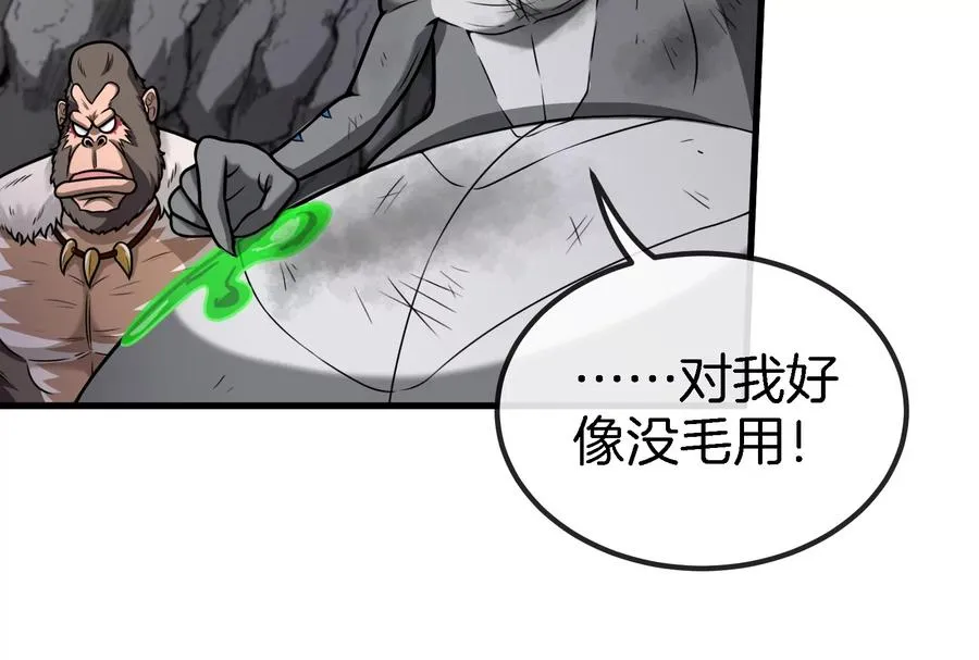第29话 死腐爬虫防御甲26