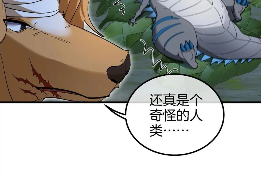 第44话 渡渡鸟骑士74