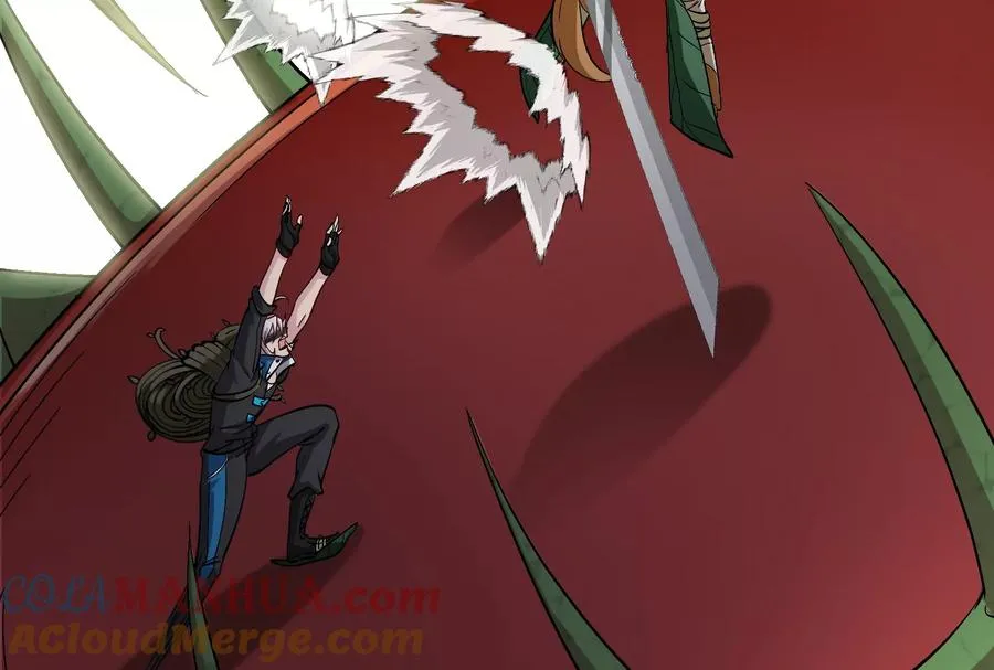 第49话 尊柏树24