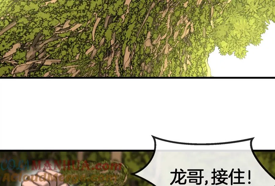 第49话 尊柏树88