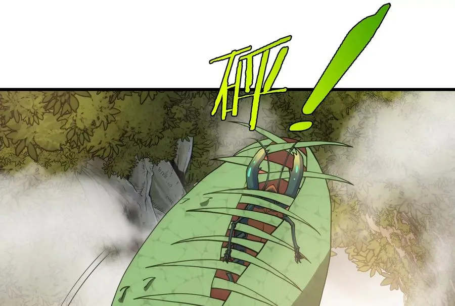 第49话 尊柏树5