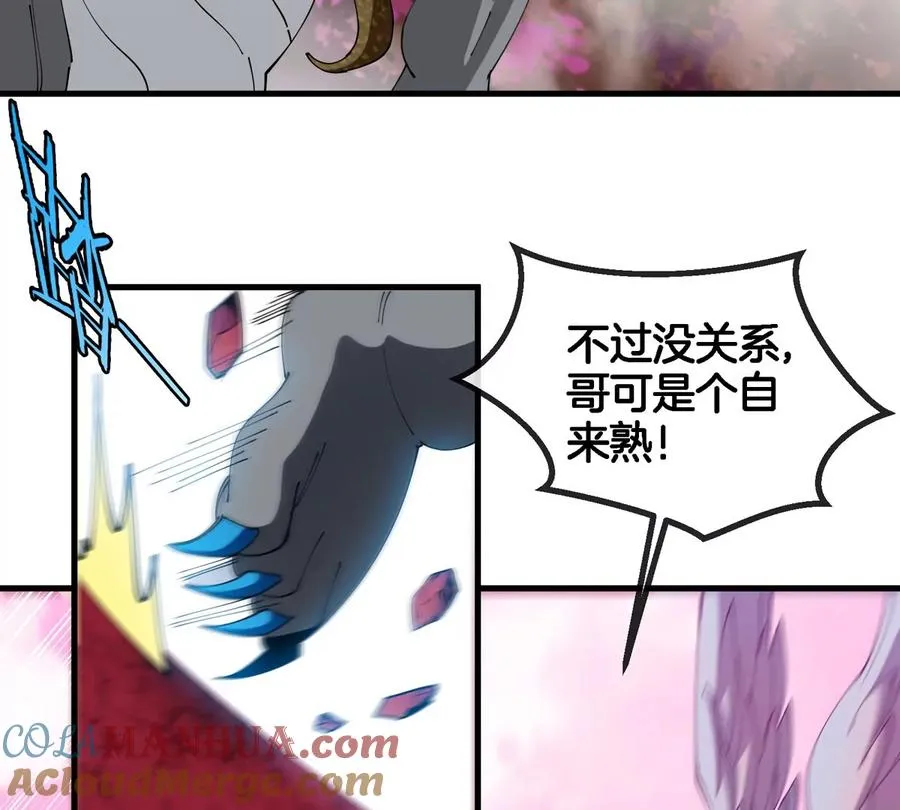 第120话 长羽毛的恐龙们36