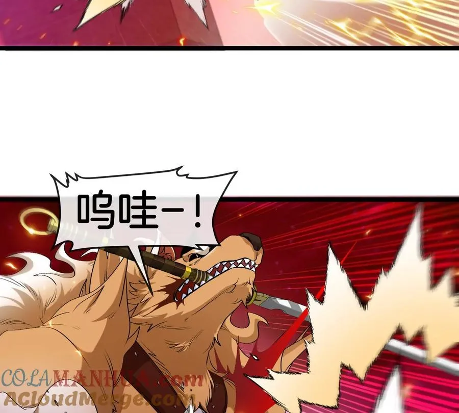第147话 兵驰狼的坚持87