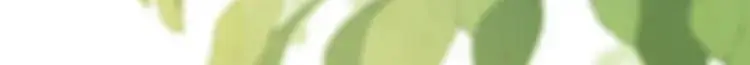 第7话 小牛集团！19