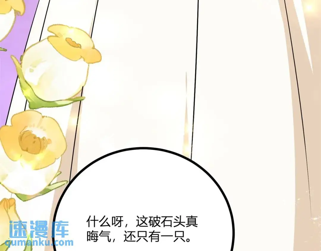 第29话 取回耳环计划开始84