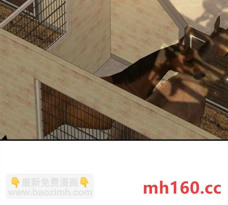 第40话 意料之外的马车5