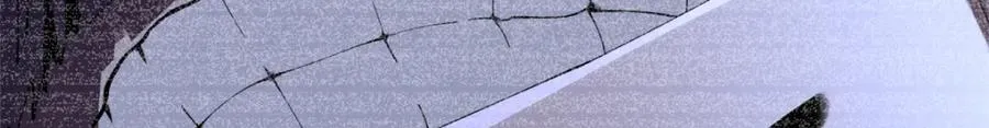 50113