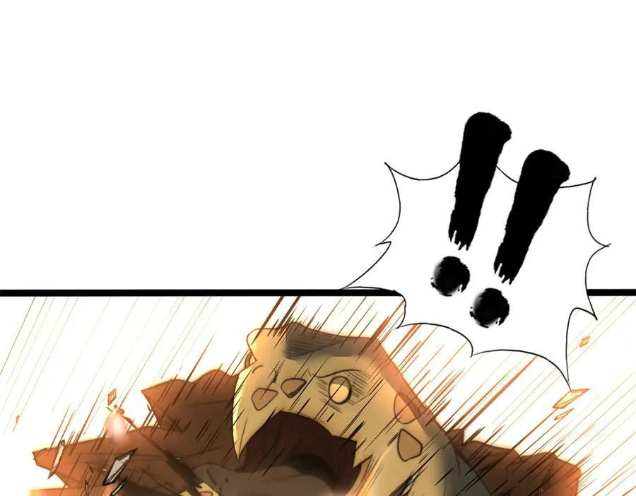 66117