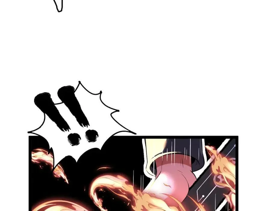 56123