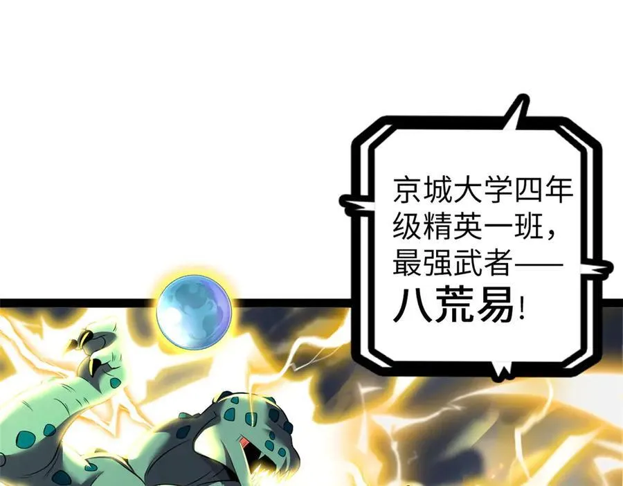 77206