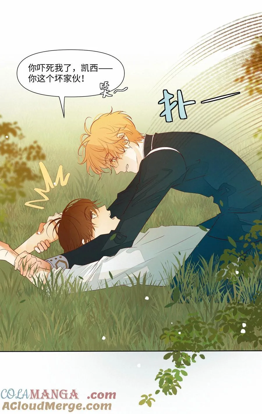 29 光明38