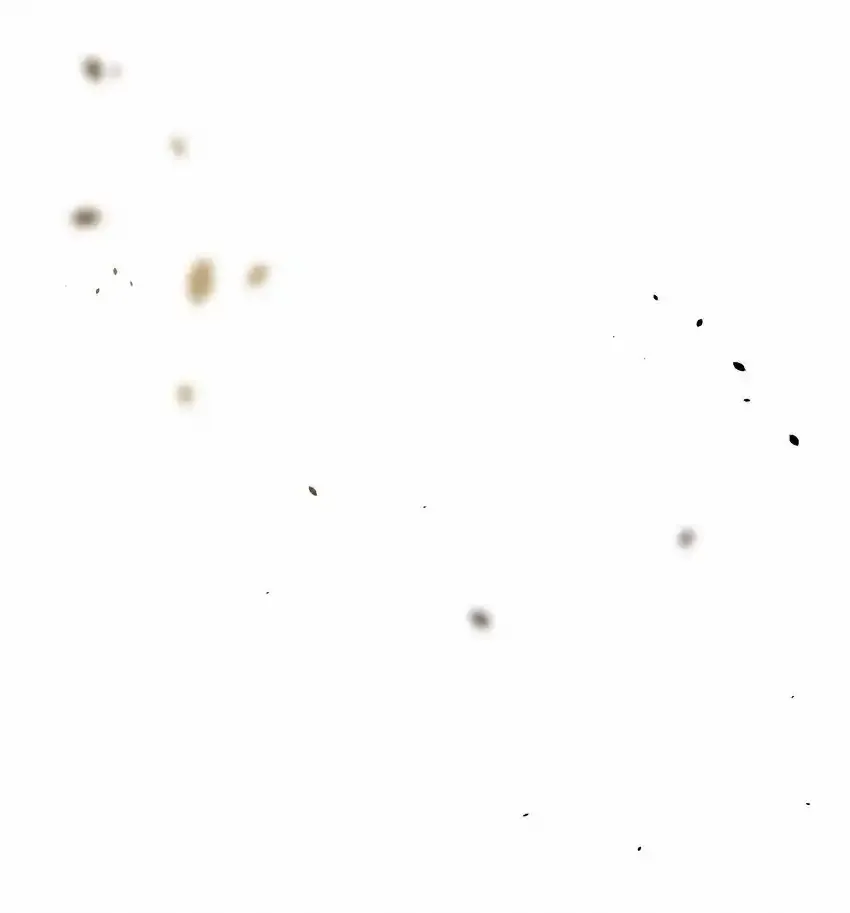 21 兄弟6
