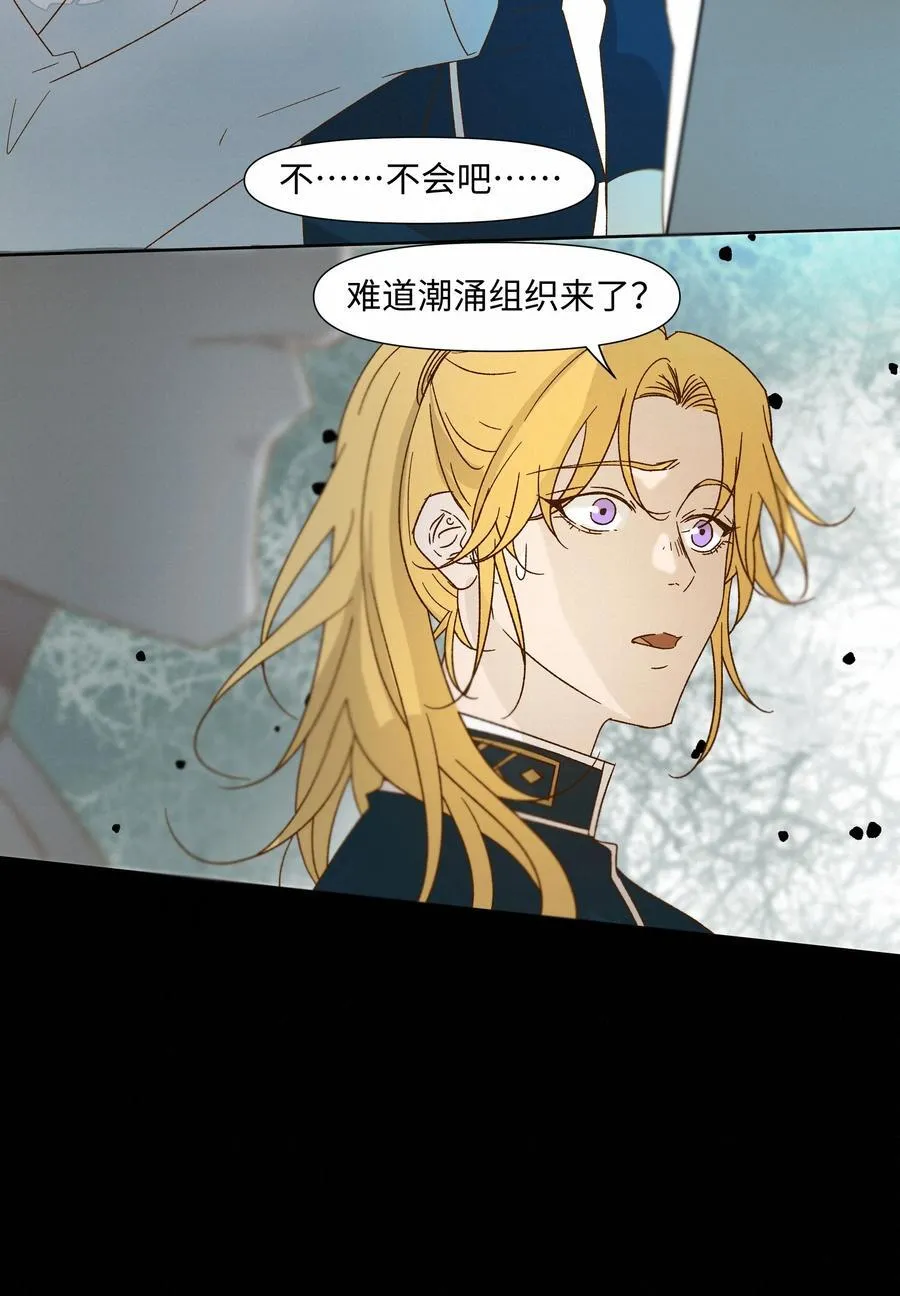 34 他来了17