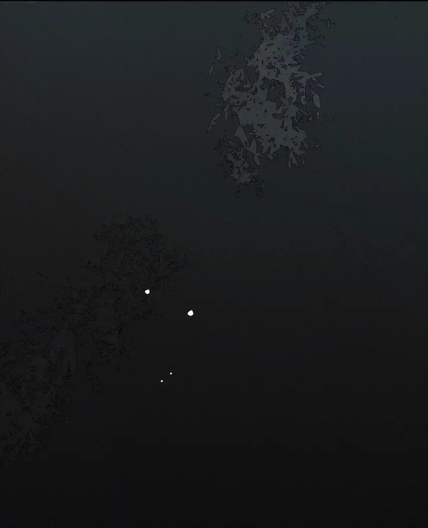12 陷阱24