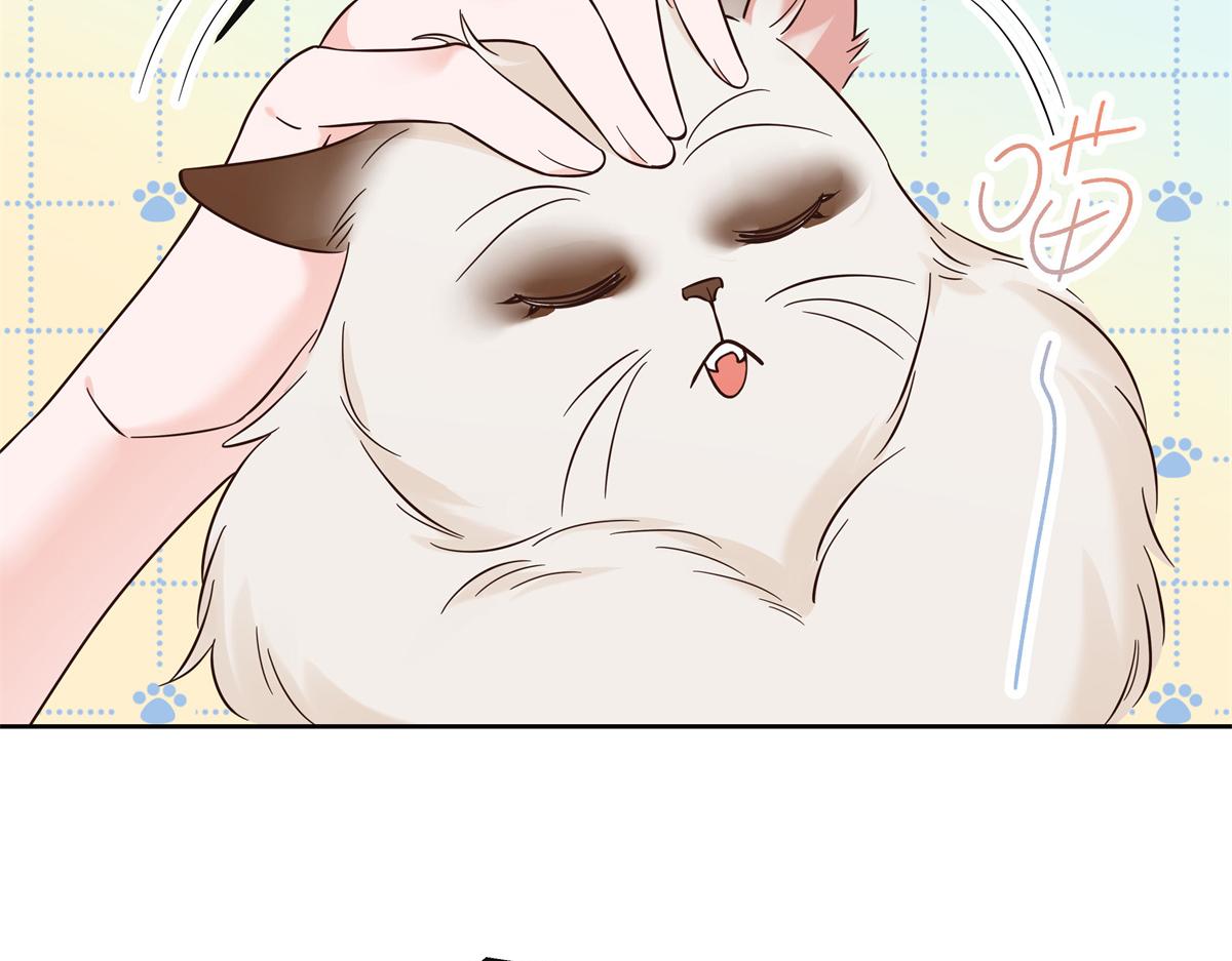 305 是我男朋友17
