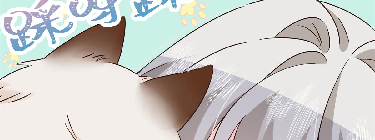 306 是她啊9