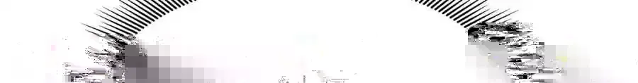 367 我会输85