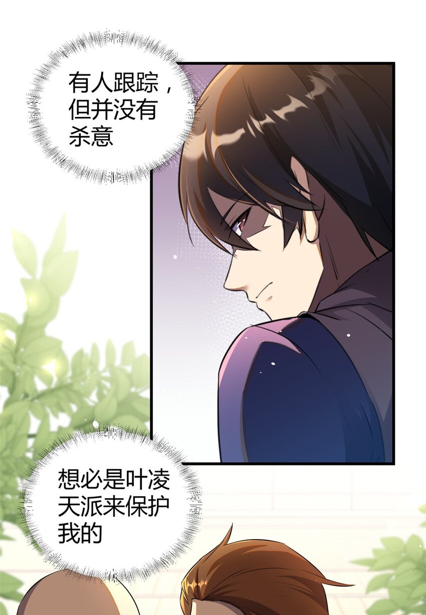 033 江南王叶凌天24