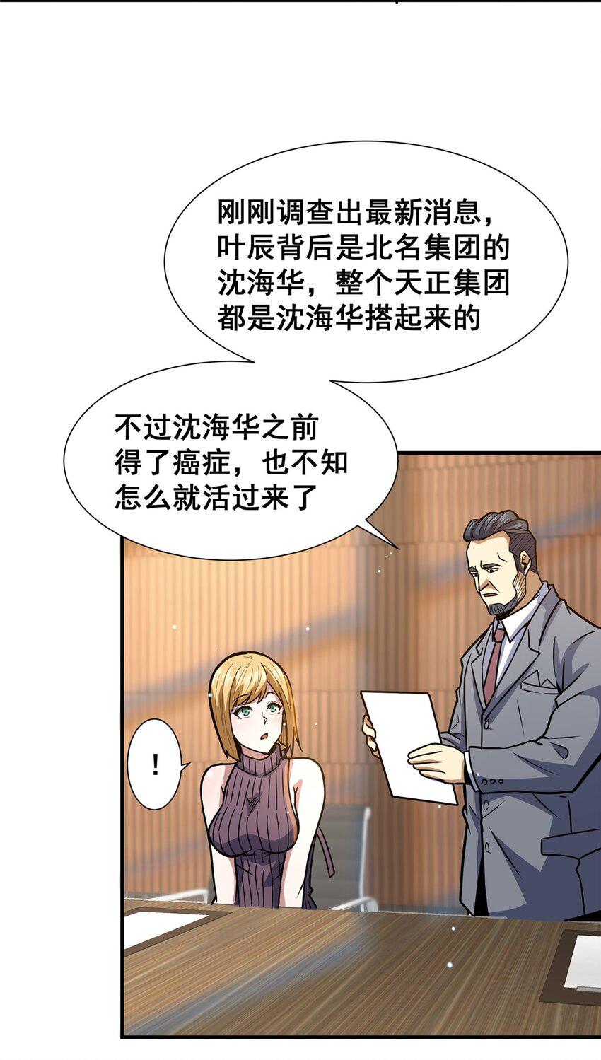 054 法人叶辰43