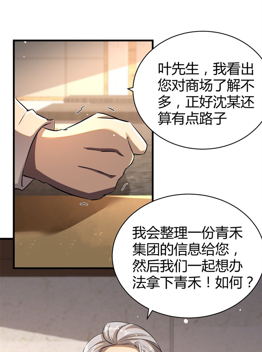 033 江南王叶凌天11