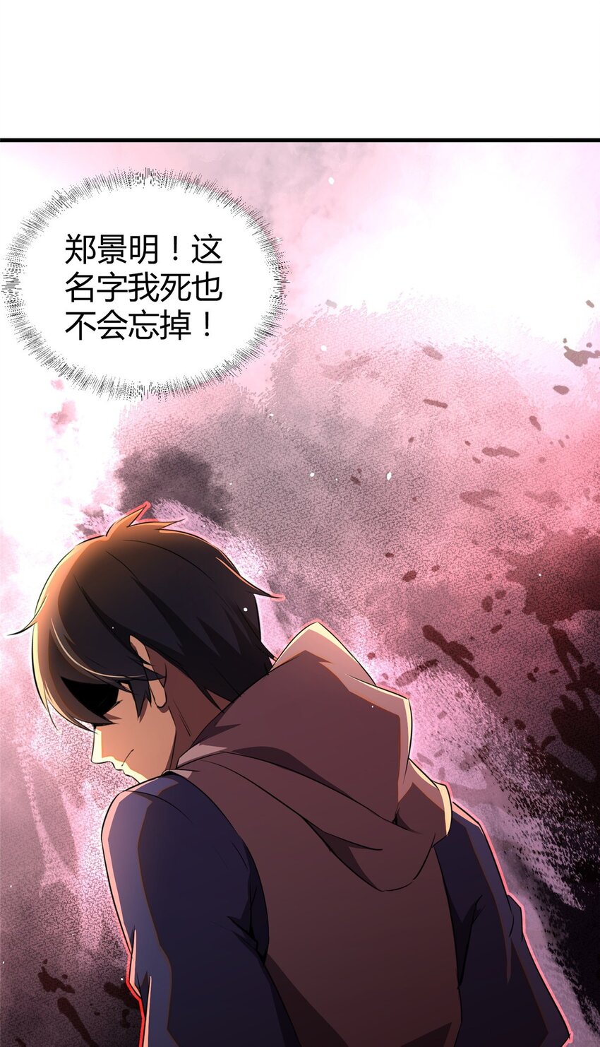033 江南王叶凌天5