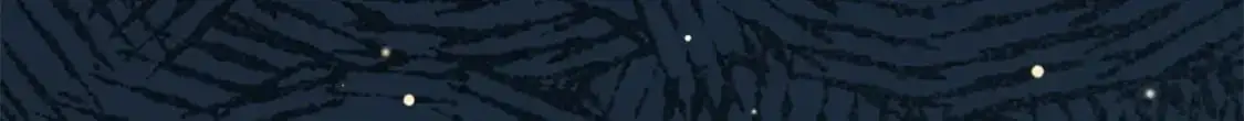 134 天生杀手160