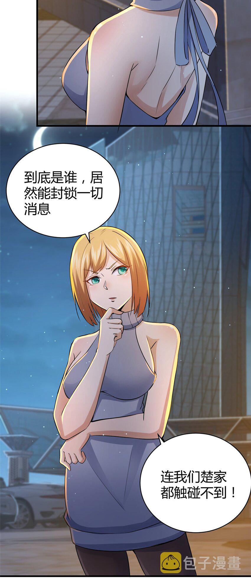 033 江南王叶凌天41