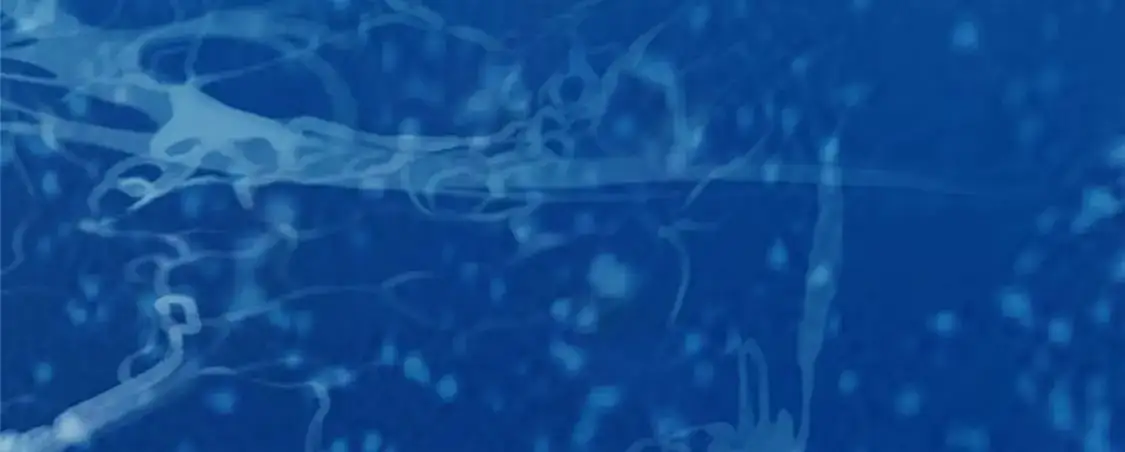 136 玩个游戏63