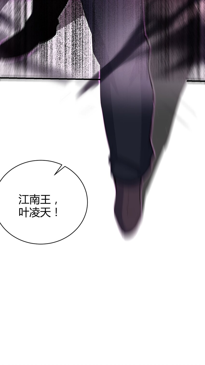 033 江南王叶凌天55