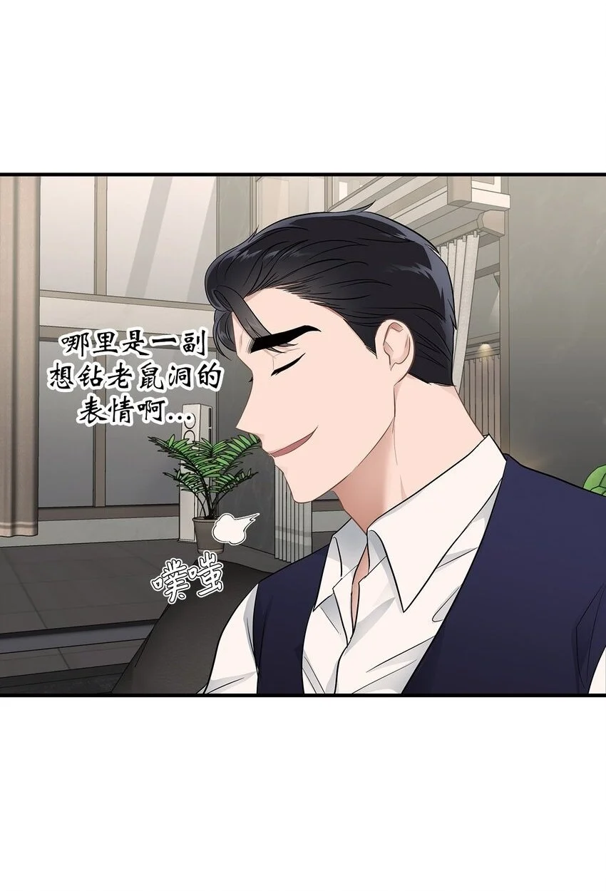 20 报恩的喜鹊47