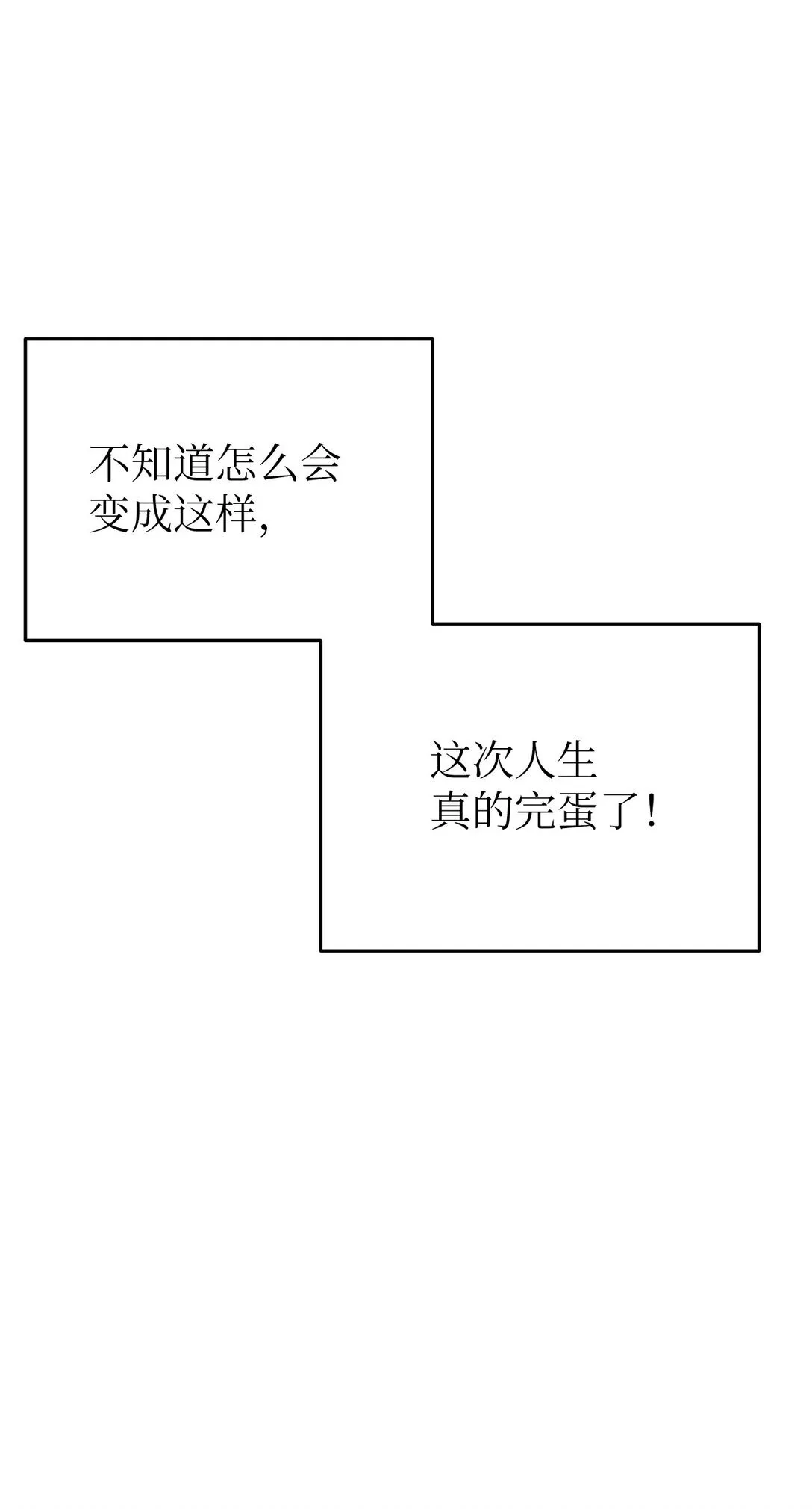 40 难忘的生日25