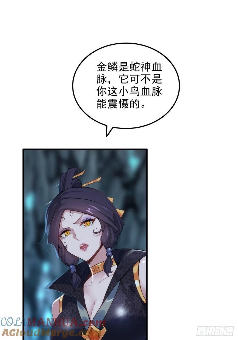 75话 蛇姨出品必属精品30