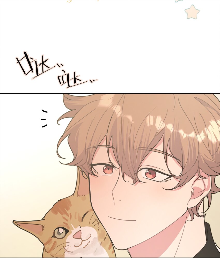 008 两只流浪猫38