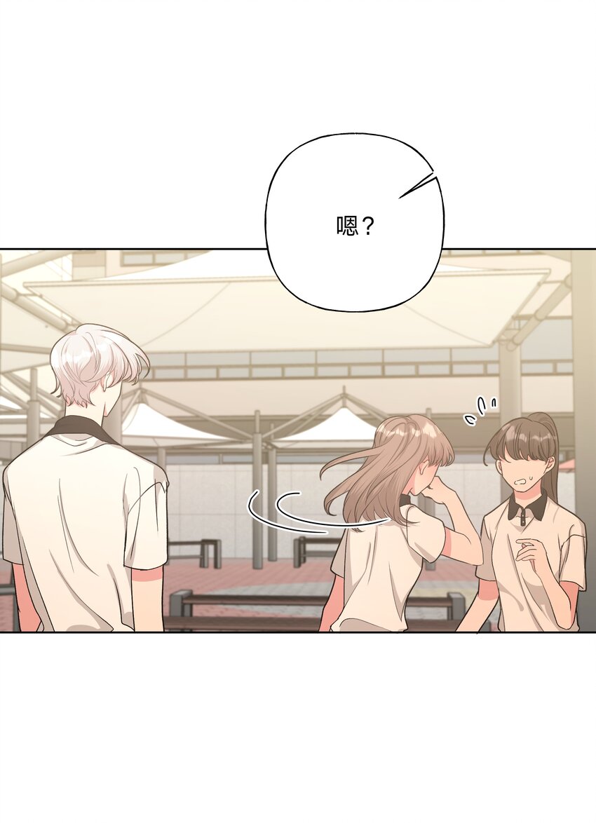 008 两只流浪猫21