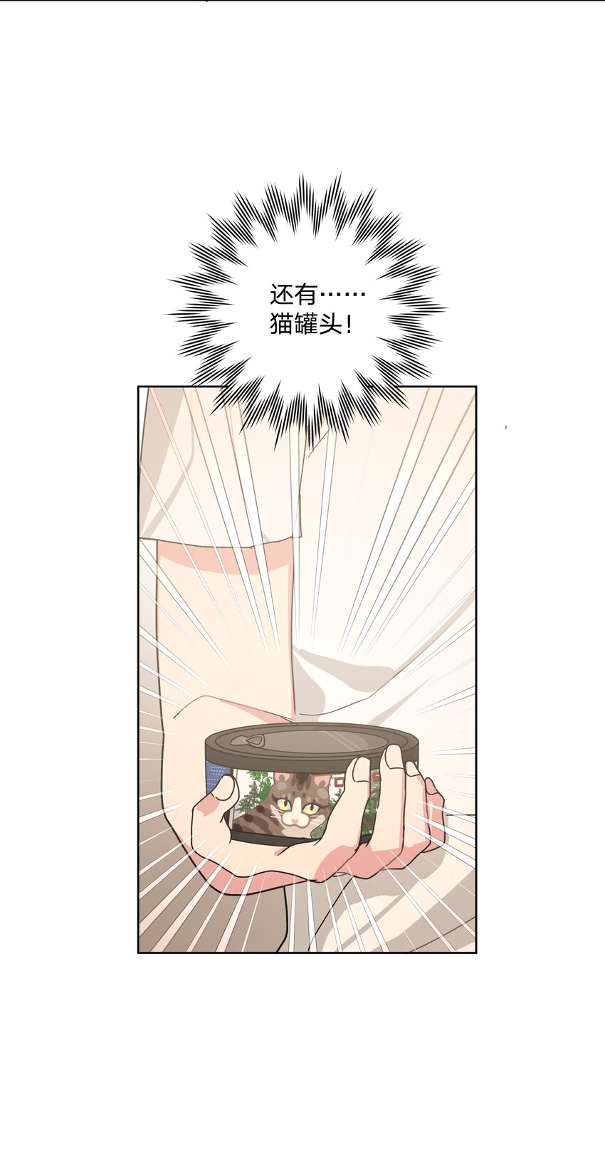 008 两只流浪猫41
