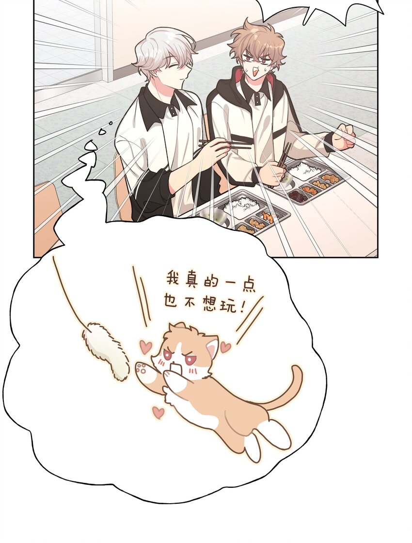 006 真的不用再喂了！40